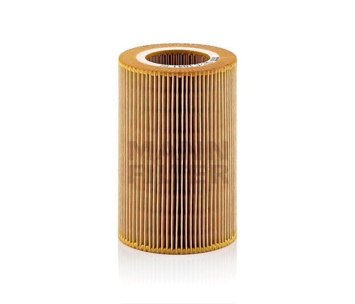 Mann Filter (C1041)