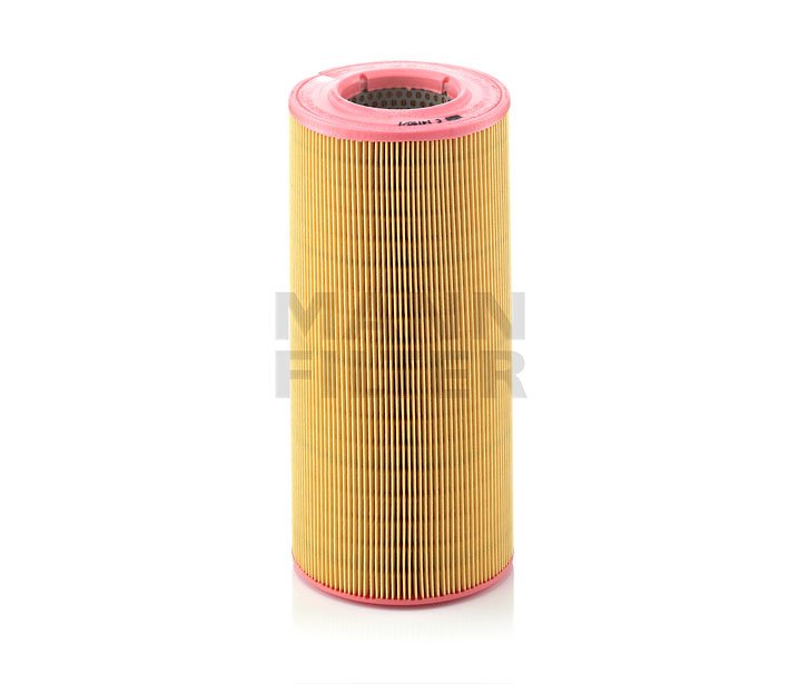 Mann Filter (C14190-1)