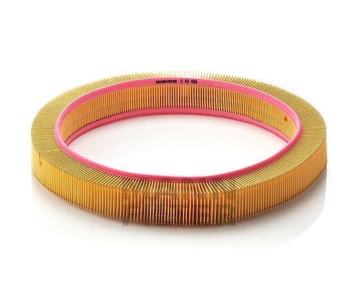 Mann Filter (C42098)