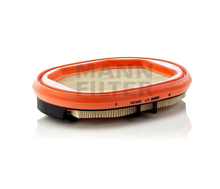 Mann Filter (CF2530)