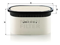 Mann Filter (CP29550)