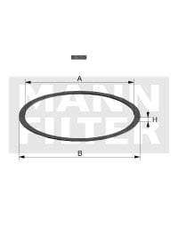 Mann Filter (DI10-05)