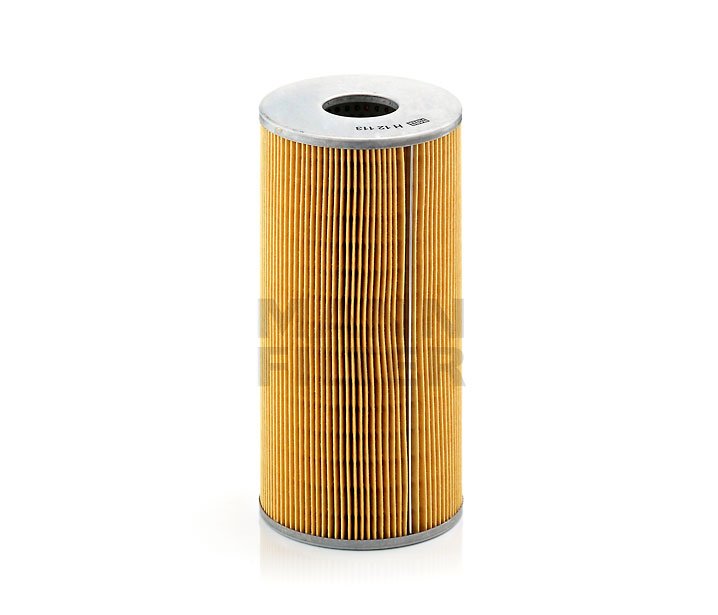 Mann Filter (H12113)