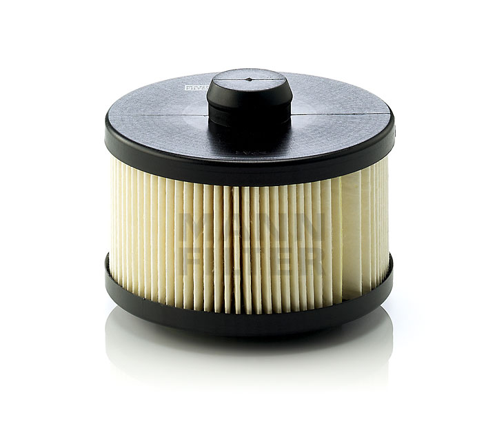 Mann Filter (PU10001X)